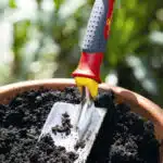 Transplantoir dans grand pot