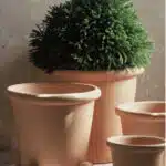 Ensemble de plusieurs pots en terre de différentes tailles