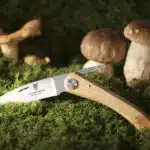 Couteau a champignons posé dans la mousse devant des champignons