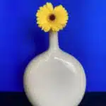 Vase blanc en forme arrondie avec une fleur jaune