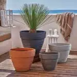 Plusieurs pots pour plantes en extérieur