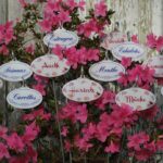 Ensemble d'étiquettes de jardins sur plaques inox