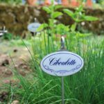 Etiquette inox Ciboulette pour jardin