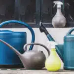 Arrosoirs de différentes formes et tailles