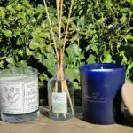 Bougies artisanale et parfum d'intérieur devant feuillage