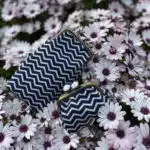Vêtements femme Porte monnaie et etui à lunettes rayés posé dans des fleurs