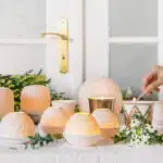 Porcelaine de Limoges