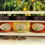 Plantes aromatiques - 3 bocaux