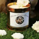 Bougies dans pot sur herbe