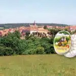 Flavigny-sur-Ozerain avec la boite ovale à droite