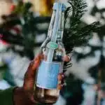 une main tient une bouteille de limonade