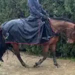 cape pour chevaux