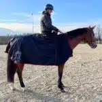 cavalier sur un cheval portant un horsecup bleu sur une plage