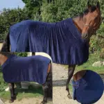 une photo en bas à gauche d'un horsecup posé sur un cheval marron, en arrière plan un horsecup posé sur un cheval marron, en bas droite, une photo en rond avec détail du horsecup